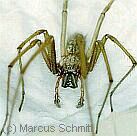 Zur Homepage des Bildautors